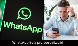 WhatsApp Beta pro