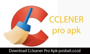 download ccleaner pro apk